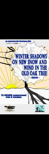 WINTER SHADOWS ON NEW SNOW AND WIND IN THE OLD OAK TREE